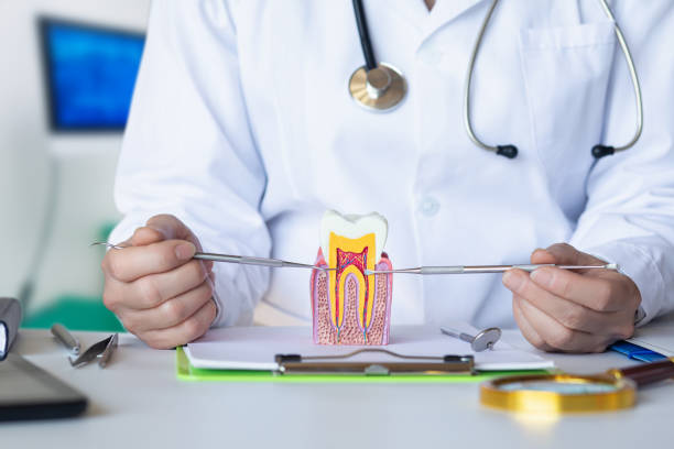 Best Emergency Dental Filling Replacement  in Mountain City, GA